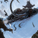 Illustration for article titled Some Concept Art From emThe Elder Scrolls V: Skyrim/em